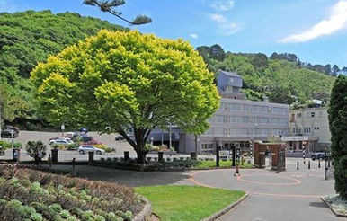 Hotel sale in Wellington NZ